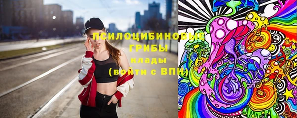 соль ск Инта