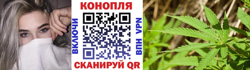 Марихуана конопля Ногинск